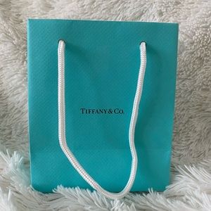 Tiffany & Co Small Size Shopping Bag